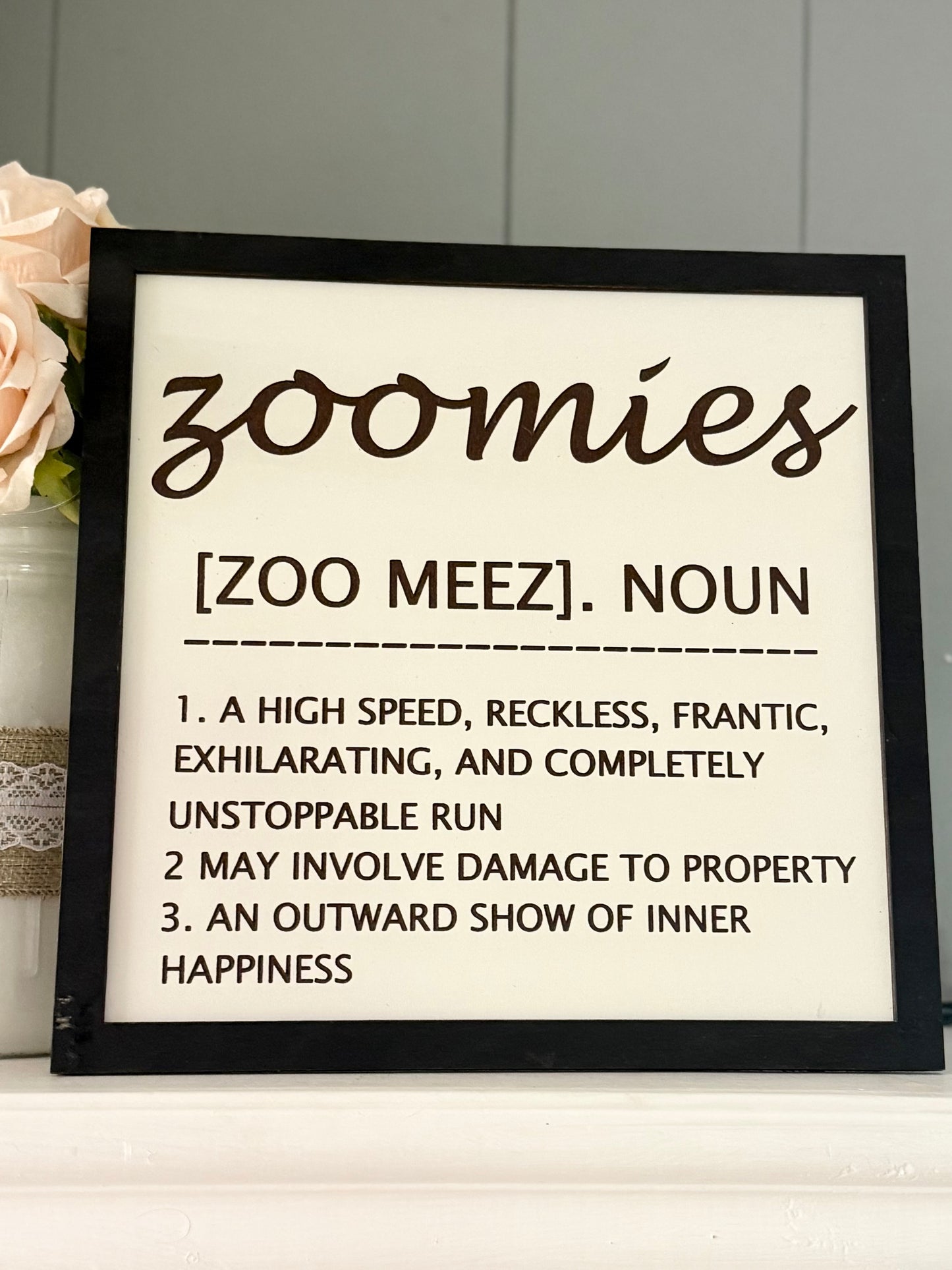 Zoomies Definition Sign – Funny Pet Wall Décor